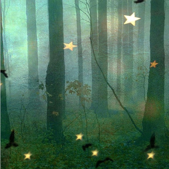 Meet your Posher - Picture 14 of 16